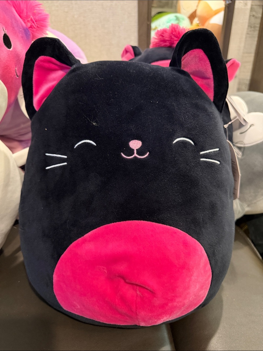 Catarina Squishmallow Black Cat 12” (Halloween)